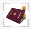 Просмотр паспорта на поливинилхлоридную трубку серии PV